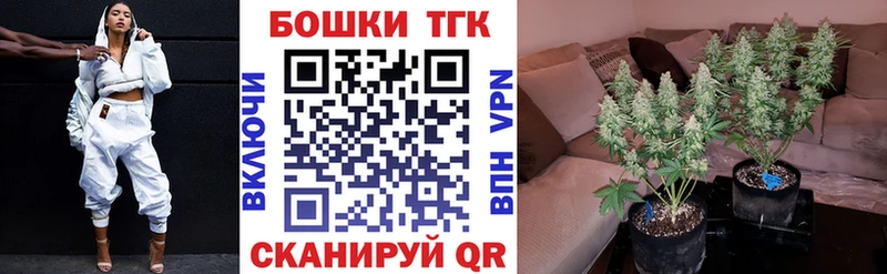 купить наркотики сайты  Шарья  Марихуана Amnesia 